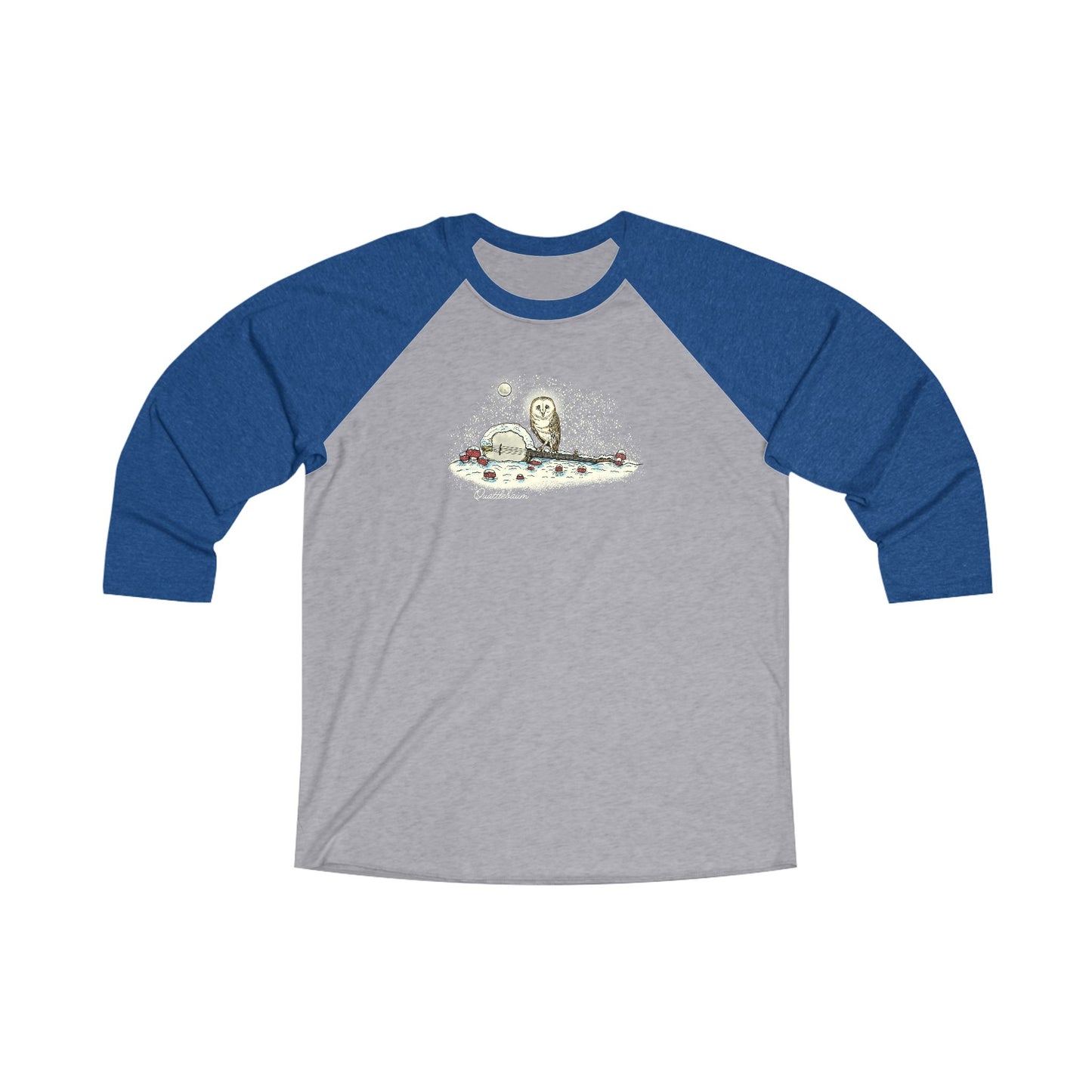 Barn Owl on a Snowy Banjo with Mushrooms ~ Quattlebaum Baseball Tee ~
