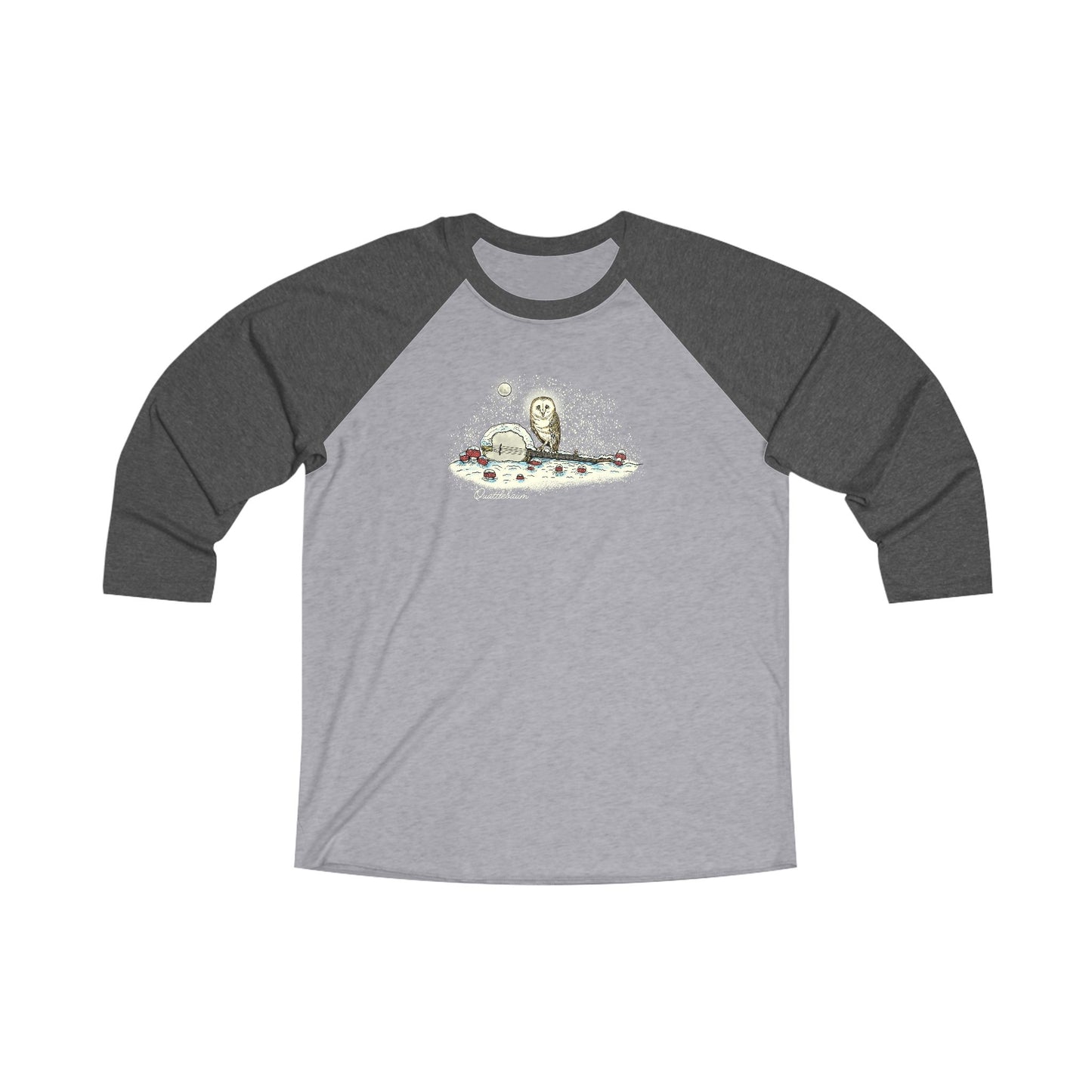 Barn Owl on a Snowy Banjo with Mushrooms ~ Quattlebaum Baseball Tee ~