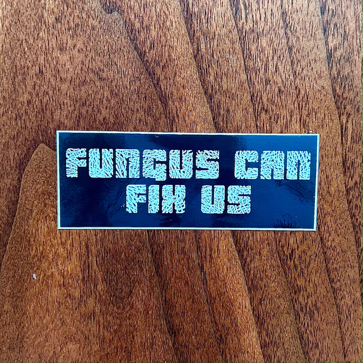 Fungus Can Fix Us - Sticker